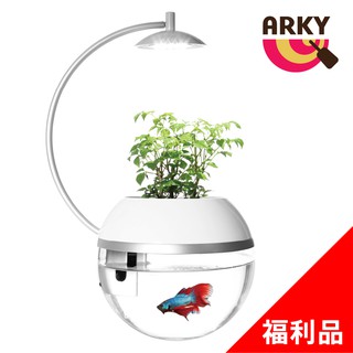 ARKY 香草與魚Herb&FishＸ(福利品)