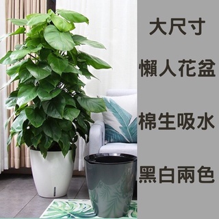 臺灣現貨 免運】大尺寸 懶人盆栽 自動吸水塑膠盆 花盆 盆栽 塑膠盆 多肉花盆 大花盆 花架 花器 陶盆