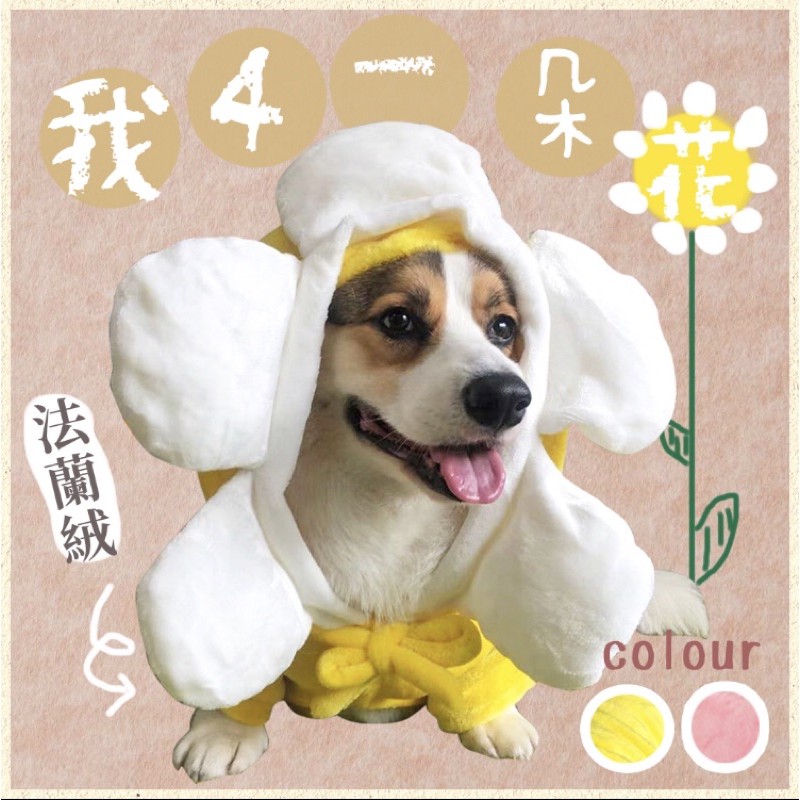 寵物舞獅舞龍衣服 優惠推薦 21年2月 蝦皮購物台灣