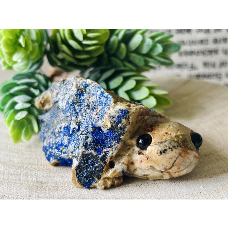 🐢超可愛的藍銅礦小烏龜🐢