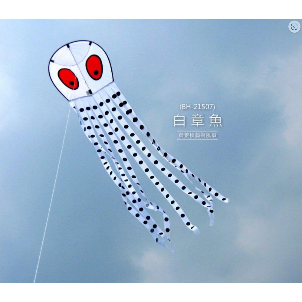 【黃景楨藝術風箏】(水生動物)白章魚-造形風箏 White Octopus ART KITE(BH-21507)