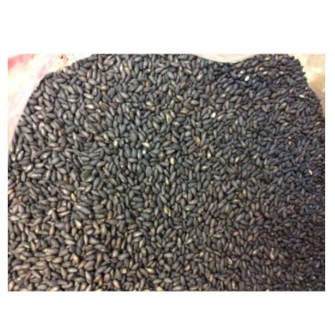 黑芝麻 (粒) 600克 純正黑芝麻粒(熟）顆顆飽滿一斤