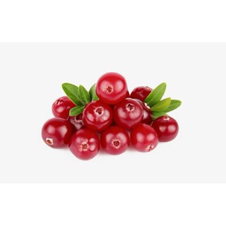 <168all> 50ml 蔓越莓香精 / 原食品級1000倍 台灣水果牌