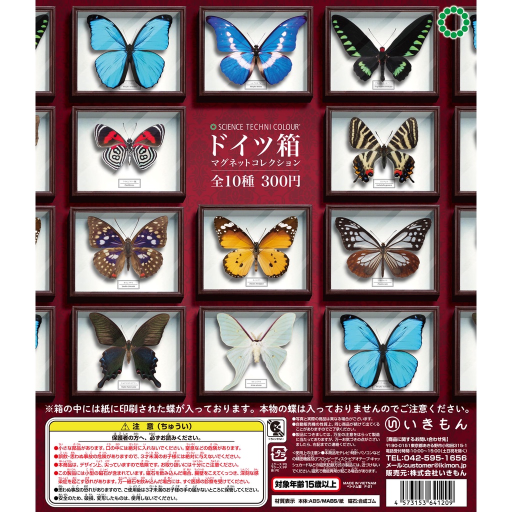 お気に入 蝶の標本ペーパークラフトA2サイズ完成品