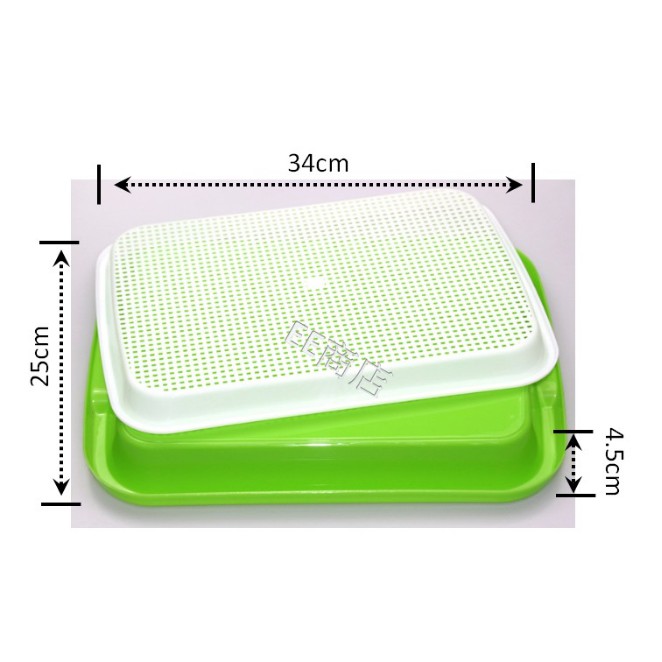 Ee商店無土栽培好用水耕盤貓草育苗盤種植盤含蓋子豆芽菜苜蓿苗小麥草豆類cat Grass Catnip 蝦皮購物