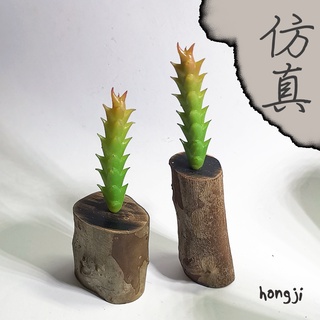 多肉 模擬多肉 微景觀 P57 假多肉植物 辦公室小物 療癒紓壓生日禮物拍照道具居家裝飾咖啡屋商店擺飾迷你木頭底座盆栽
