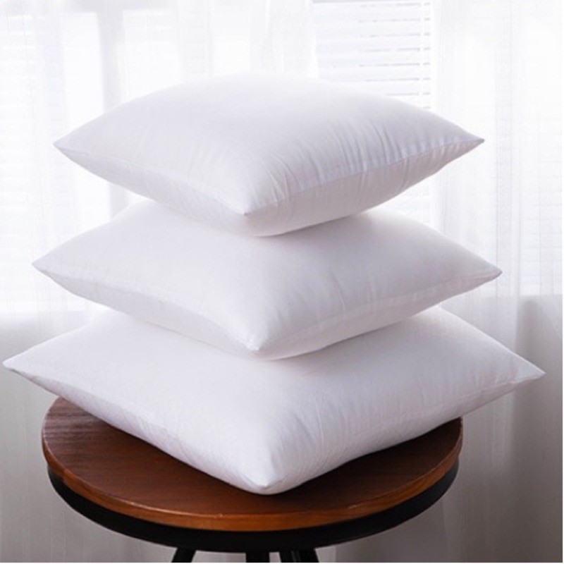 長枕頭枕心 Ptt與dcard推薦網拍商品 2021年12月 飛比價格