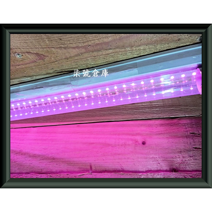 柒號倉庫 燈管類 T8-2尺LED植物燈管 紫色燈管 植物生長燈 培養燈管 T8植物燈 DL-735 補光燈