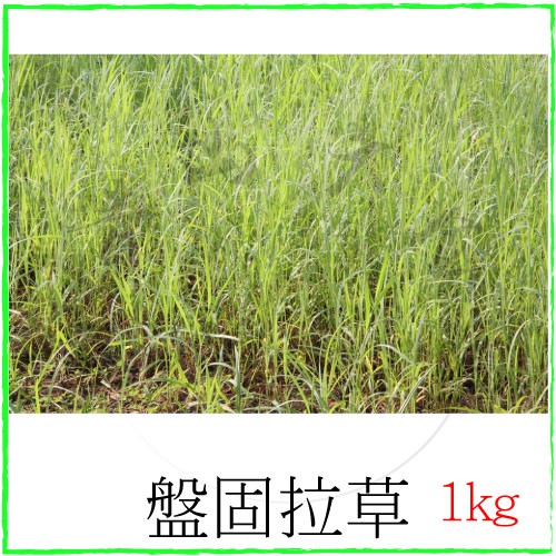 青山六金 附發票陸龜爬蟲牧草馬1kg 牧草乾草兔子苜蓿草紫花苜蓿草兔子牧草天竺鼠陸龜墊材燕麥 蝦皮購物