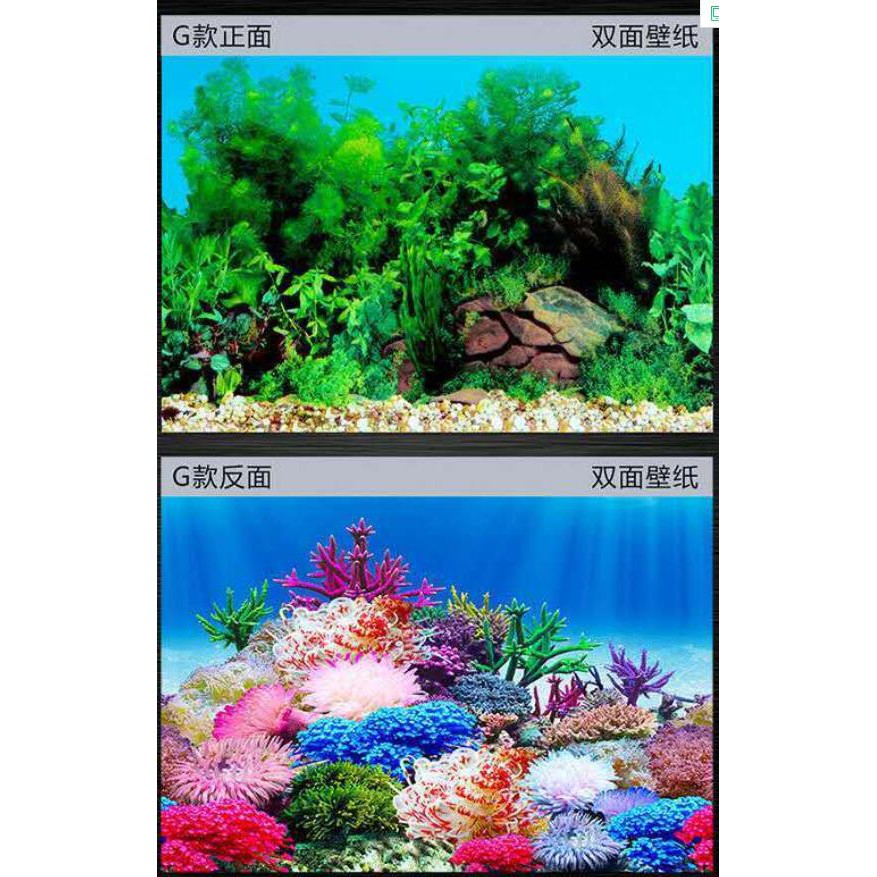Wmy 魚缸裝飾小型魚缸背景貼紙畫高清圖3d壁紙水族箱造景自粘防水壁畫外貼 蝦皮購物