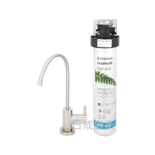 諾得 BW-100A 單道淨水器 專利活性炭+抑水垢 含安裝《日成廚衛》