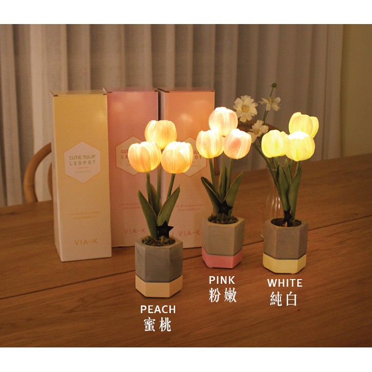 韓國via K Studio Led 仿真花夜燈 鬱金香小盆栽 3色任選 交換禮物聖誕節 蝦皮購物