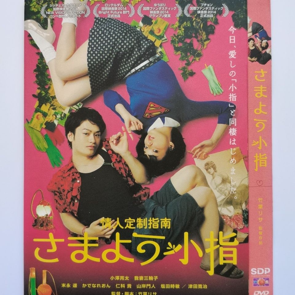 日本dvd電影 情人定制指南 主演 小澤亮太 我妻三輪子 1dvd9 蝦皮購物