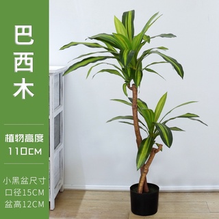 超模擬巴西木🔥擬真植物🔥巴西木植物 水泥盆栽 盆子 盆栽 植物水泥盆 三角水泥盆 水泥盆子 旅人蕉 龜背葉