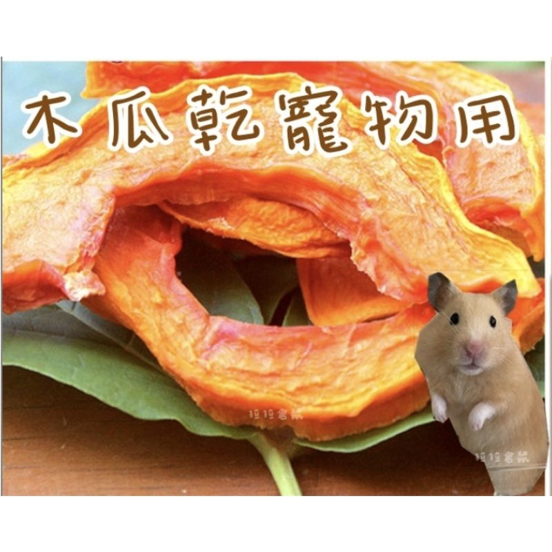 拉拉倉鼠整理箱訂製  木瓜乾【現貨】黃金鼠侏儒鼠蜜袋鼯可食用