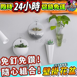 【臺灣現貨24H出貨→免運+實拍給你看】壁掛花盆 收納盒 收納架 多肉花盆筆筒盆栽花架花器園藝裝飾造景盆栽插花瓶掛式盆栽