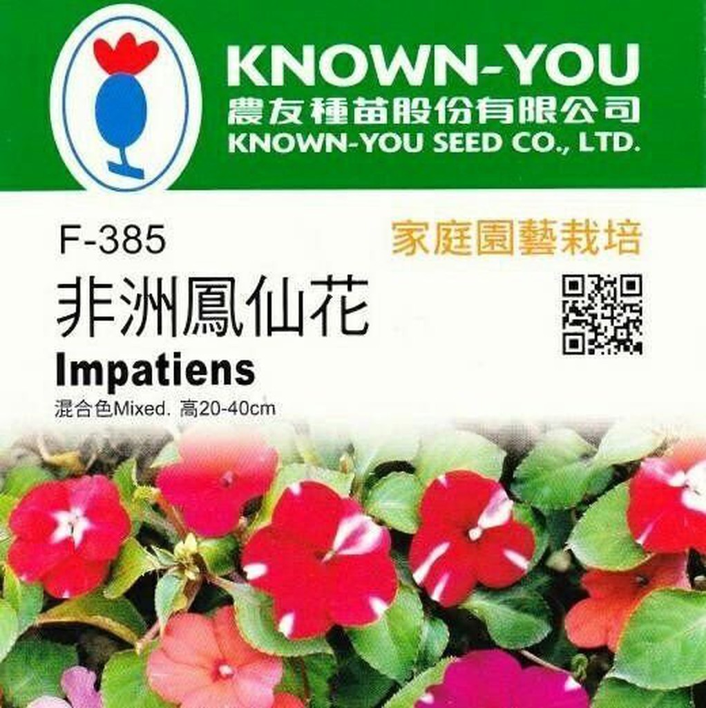 愛上種子非洲鳳仙花 花卉種子 農友牌花卉小包裝種子約50粒 包 蝦皮購物