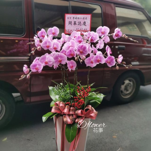 高雄花店dflower花事蘭花開幕盆栽弔唁蘭花盆栽 蝦皮購物