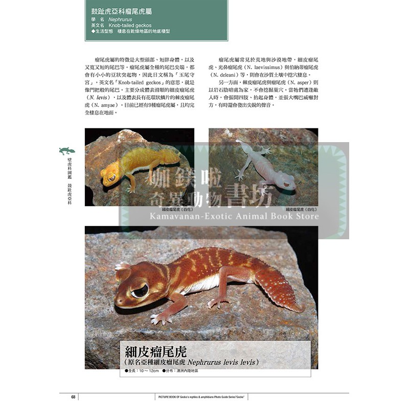 守宮夥伴超圖鑑 零基礎飼養入門 日翻中 蝦皮購物