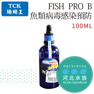 [ 河北水族 ] 台灣TCK 珊瑚王【 FISH PRO B 魚類病毒感染預防 100ML】