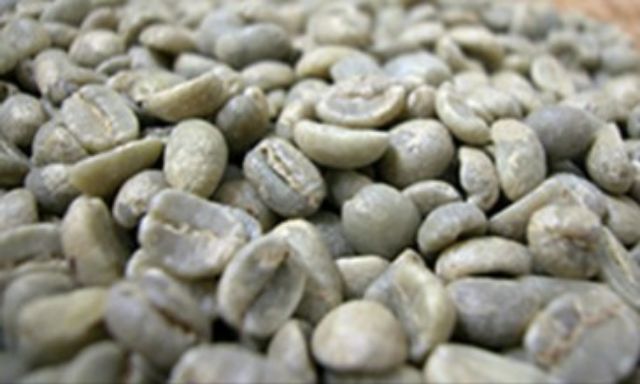 咖啡生豆  薇薇特南果 SHB EP  水洗 精品咖啡 咖啡豆 波雷克堤咖啡 現烘咖啡 咖啡豆專賣店