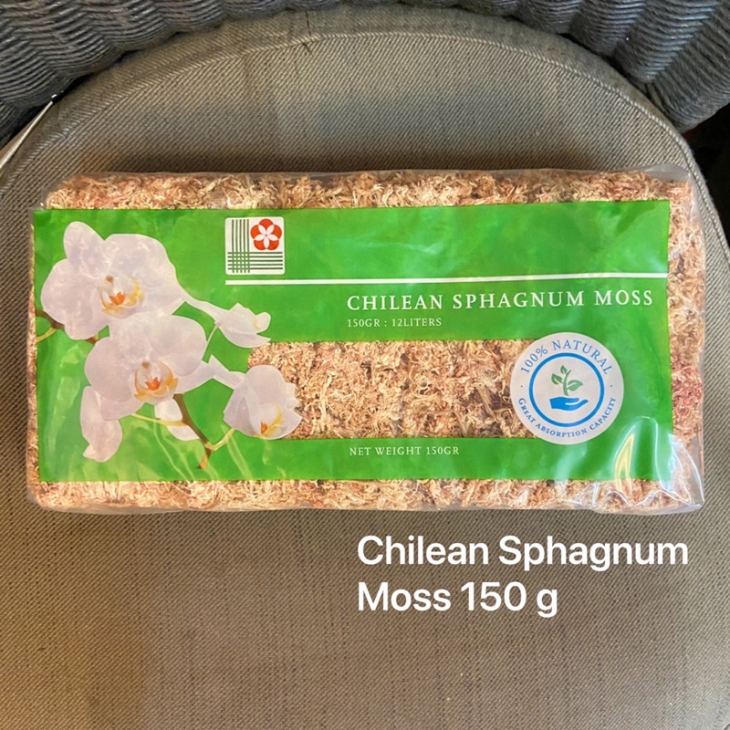 [王冠園藝］🇨🇱智利進口水草 Chilean Sphagnum 水苔 乾燥 （蘭花 苔球 蕨類）