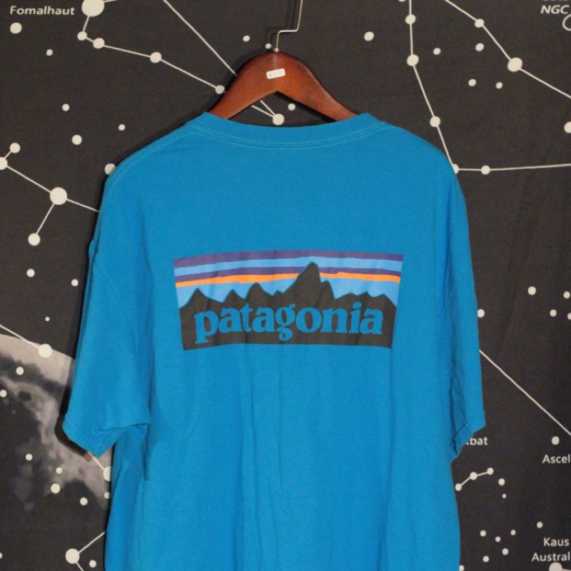 🚀火星古著🚀Patagonia 藍色短袖T恤