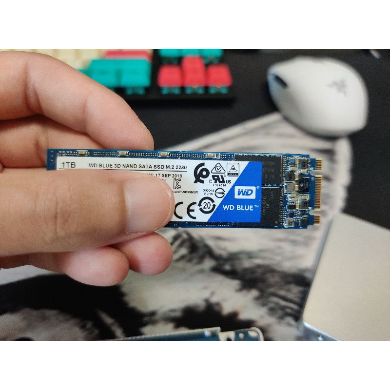 WD Blue Sata M.2 1T SSD固態硬碟附2.5吋轉接盒