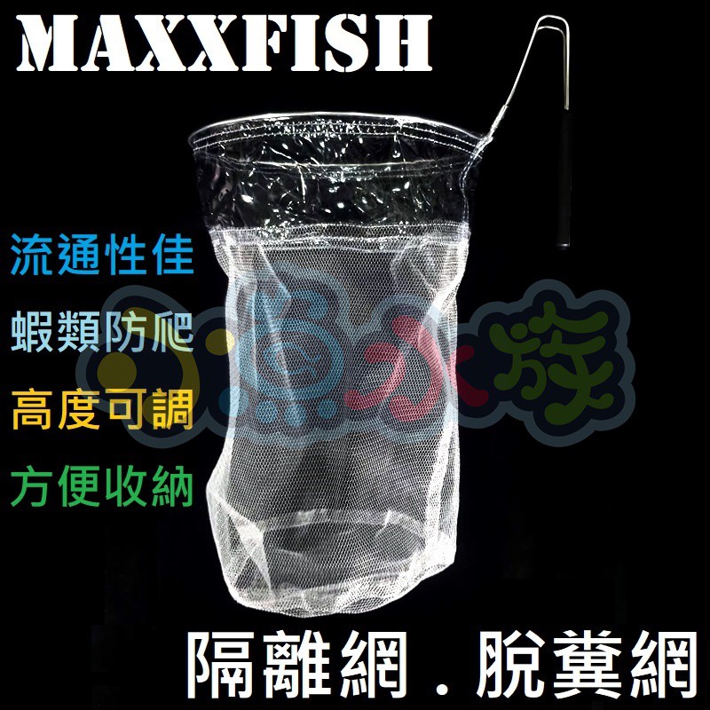 【小魚水族】蝦寶隔離網 水晶蝦隔離網 脫糞網 隔離網 蝦寶隔離網 水晶蝦脫糞網 小森叔叔 森林 繁殖箱 隔離箱 隔離盒