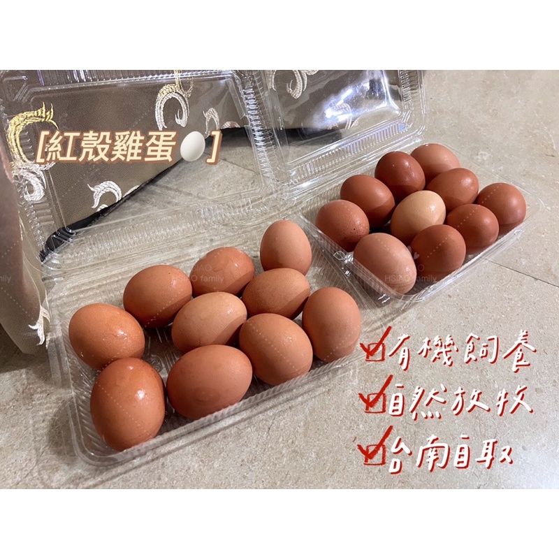 台南西港·小農放牧雞蛋🥚10入一盒➕開放預訂