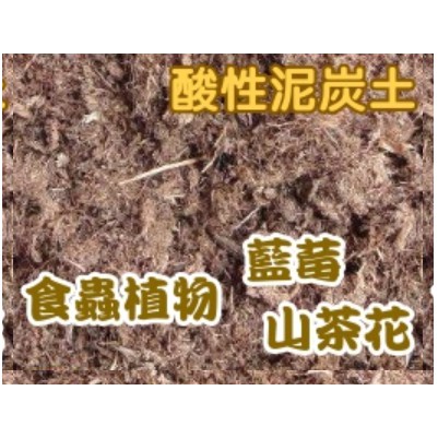 無肥酸性泥炭土 6 30mm 未經調整泥炭苔natural 1 15公升分包裝 蝦皮購物
