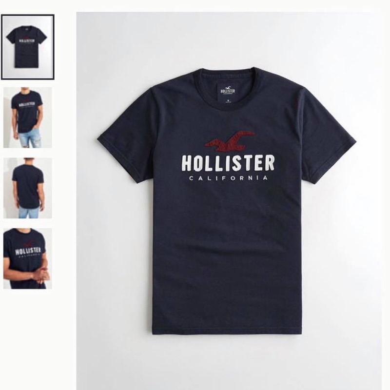 Hollister tee 男版 短袖 圓領 海鷗