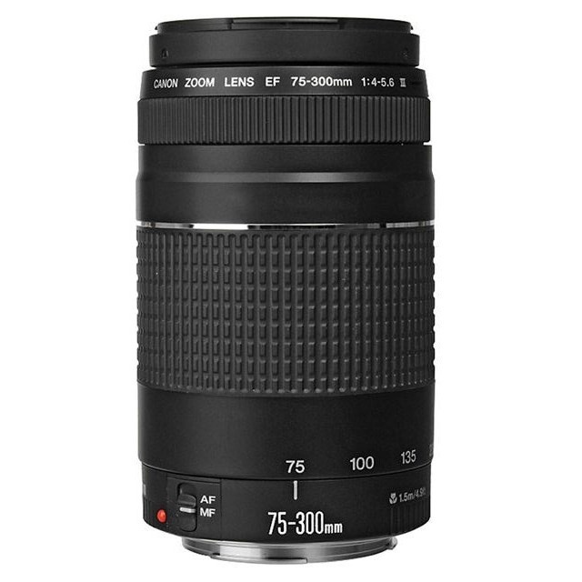 Canon EF 75-300mm F4-5.6 III USM 平行輸入 平輸 贈UV保護鏡+專業清潔組