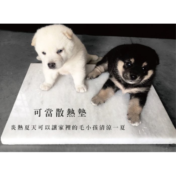 大理石萬用墊天然石材大理石石紋質感散熱降溫隔熱墊耐磨不易發霉易洗凈可當寵物散熱墊夏天涼感墊 蝦皮購物