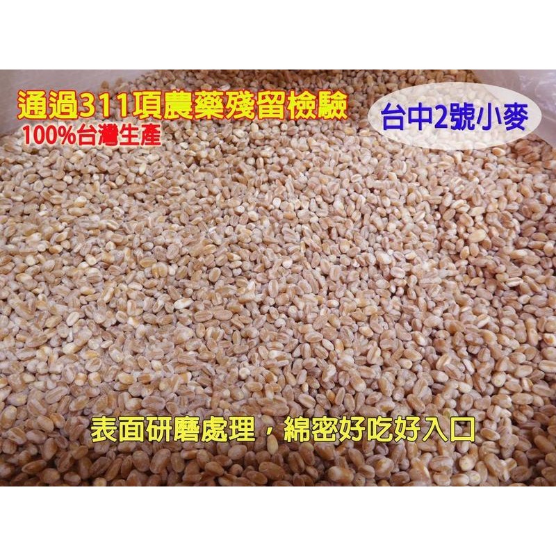 100%台灣產 台中2號 天然小麥(通過311項農藥殘留檢驗)600g含袋裝~沖茶、煮粥湯、營養好吃