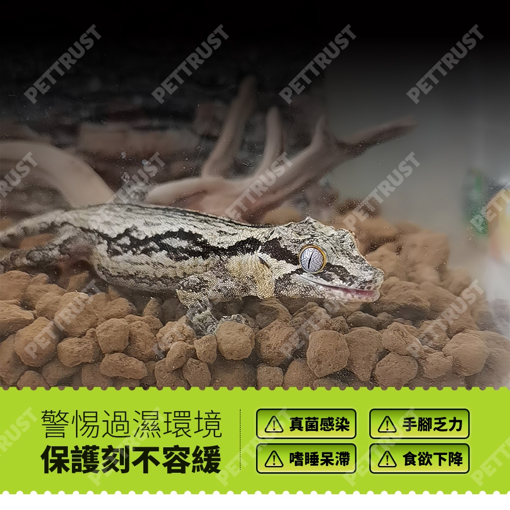 台灣現貨 赤玉土爬蟲底材睫角守宮豹紋守宮肥尾守宮豹紋底材高溫滅菌800度睫角r屬守宮專用巨人守宮 蝦皮購物