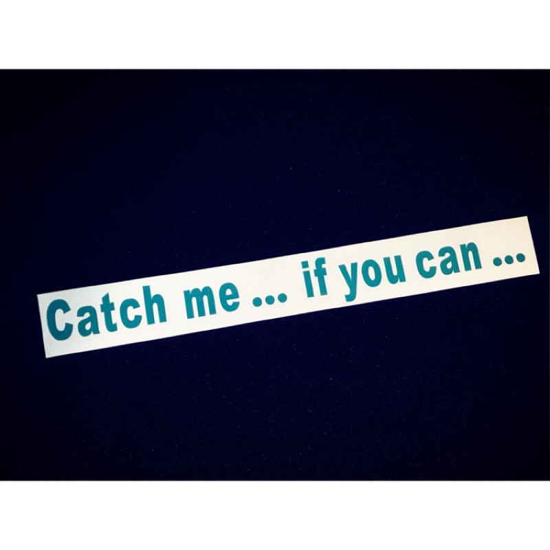 【豆豆彩藝】C03-Catch me if you can 簍空防水貼紙(GTR Type R M3M5 C63)