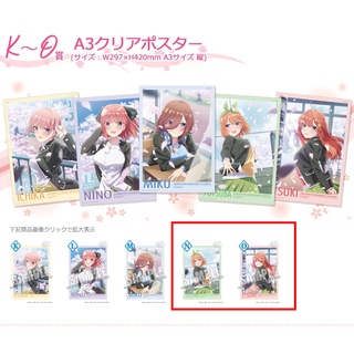 日版 一番賞 五等分的花嫁 五等分的新娘 櫻花綻放 A3透明海報 N賞 四葉 Q賞 五月