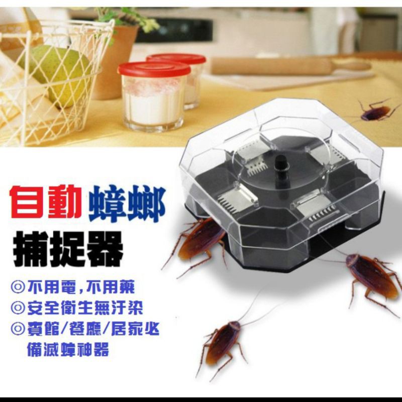 滅蟑神器 捉蟑螂神器