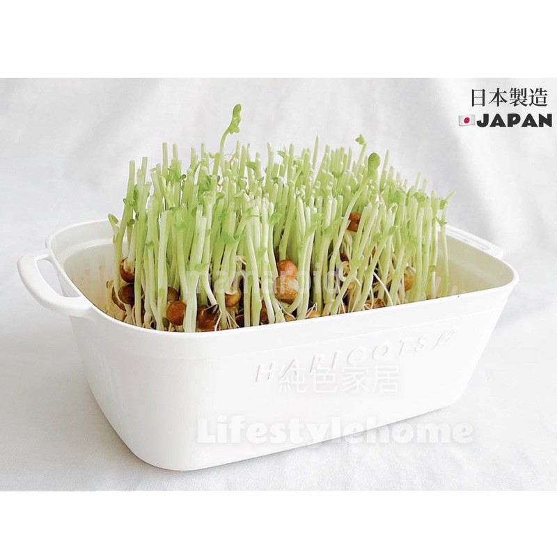 現貨 日本製yamada山田化學純白色雙耳瀝水籃水耕種植盆豆芽豆苗種植洗菜籃水耕蔬菜水耕種植水耕栽培