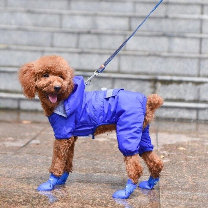 【B022】果凍寵物雨鞋(4入)/耐磨防滑  矽膠 【粉色 藍色 紫色 黃色 橙色 5色可選】