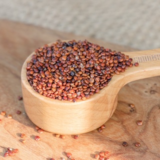 【淳歆】秘魯 紅藜麥 Red Quinoa 600g 已脫殼