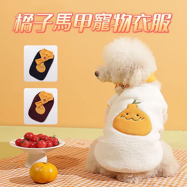 『台灣x現貨秒出』橘子造型馬甲附圍巾寵物衣服 貓咪衣服 狗狗衣服 寵物保暖服飾 寵物服飾