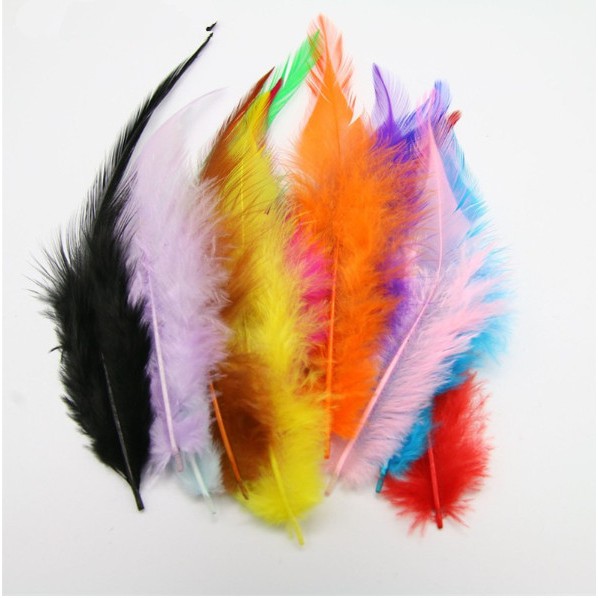 20 件白色/混色公雞羽毛 4-6 英寸/10-15 厘米羽毛,用於 DIY 服裝手工藝品首飾