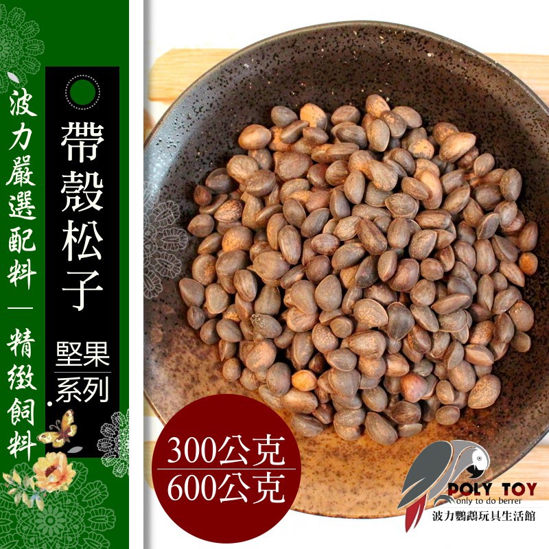 帶殼小顆松子 300g/600g 堅果系列 波力鸚鵡玩具生活館F0005