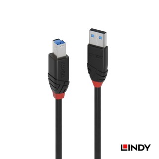 LINDY 林帝 43227 主動式USB3.0 TYPE A/公 TO TYPE B/公 延長線,10M 大洋國際電子