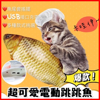 抖音爆款🔥C70 超可愛電動魚 跳跳魚 震動魚 寵物玩具 兒童玩具 魚 USB充電 抖音網紅 貓咪玩具 禮物 ins