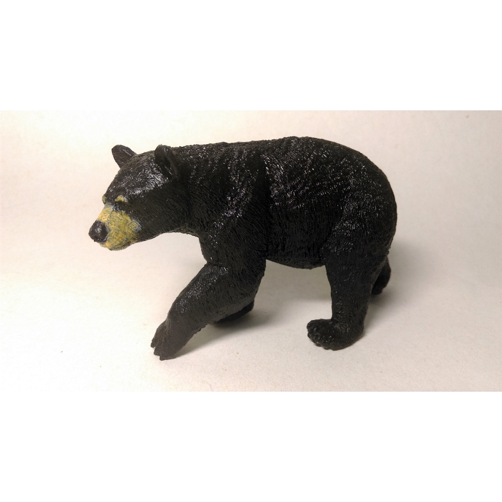 動物模型 Safari 黑熊 熊