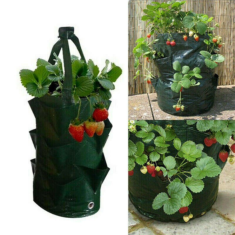 Possbay 3 加侖植物種植袋 10 個種植孔懸掛草莓袋園藝植物種植盆用於胡蘿蔔洋蔥番茄土豆
