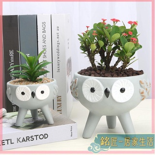 花瓶 花器 花盆 創意花瓶 桌上花瓶 多肉花瓶 zakka創意卡通動物綠植拼盤多肉植物花盆裝飾微景觀盆栽陶瓷花器